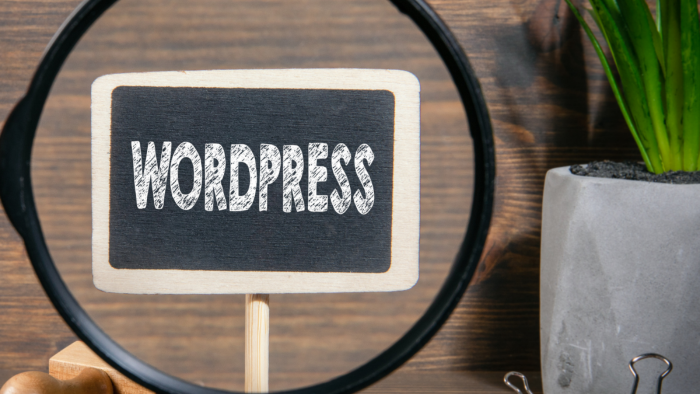  Wordpress kurulumunuzu yapıp, sitenizi düzenleyebilirim