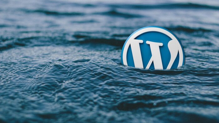 işinize uygun çözümlerle wordpress siteleri yapabilirim