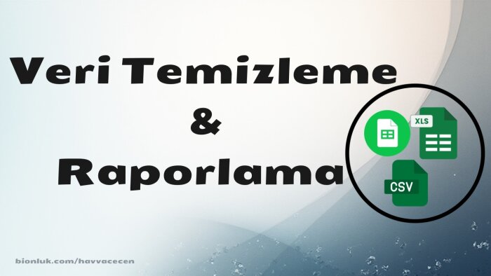 verilerinizi özenle temizleyip düzenli hale getiririm