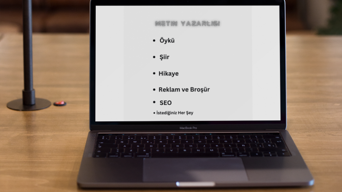 hızlı ve profesyonel şekilde metin yazarım