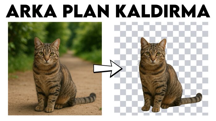 fotoğraflarınızın arka planını kaldırabilirim