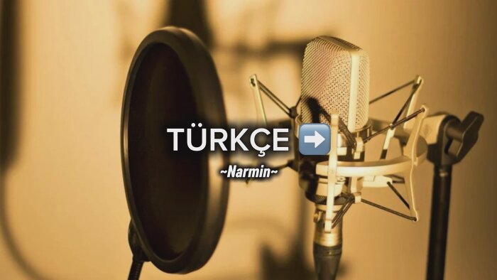farklı dillerde seslendirme yaparım