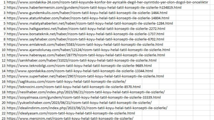 100 sitede aynı anda tanıtım yazısı yayınlarım