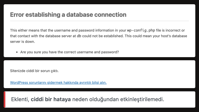 WordPress sitenizdeki sorunları çözerim