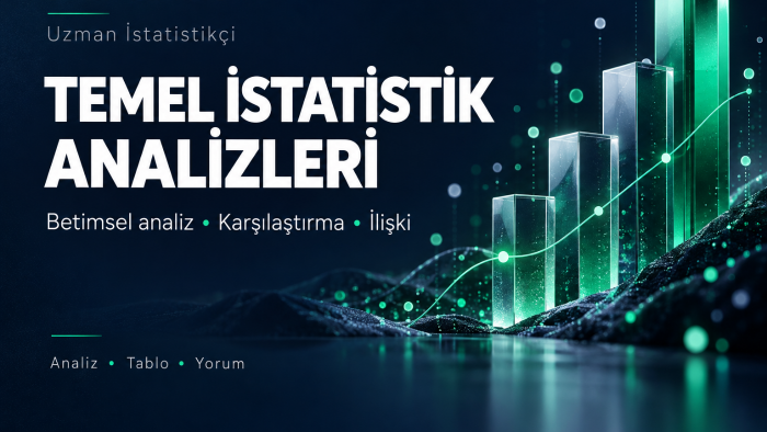 temel istatistik analizlerinizi yapar ve yorumlarım