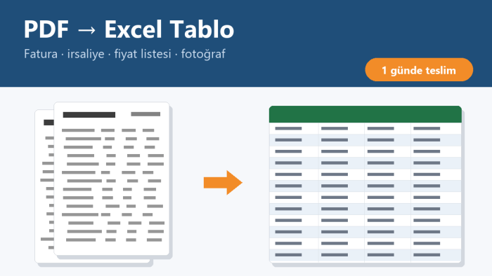 PDF ve fotoğrafları düzenli Excel tablosuna çeviririm