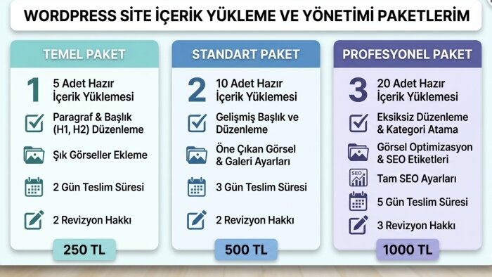web sitenize hızlı içerik ve veri girişi yaparım