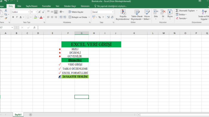 Excel veri girişi ve düzenleme hizmeti veriyorum
