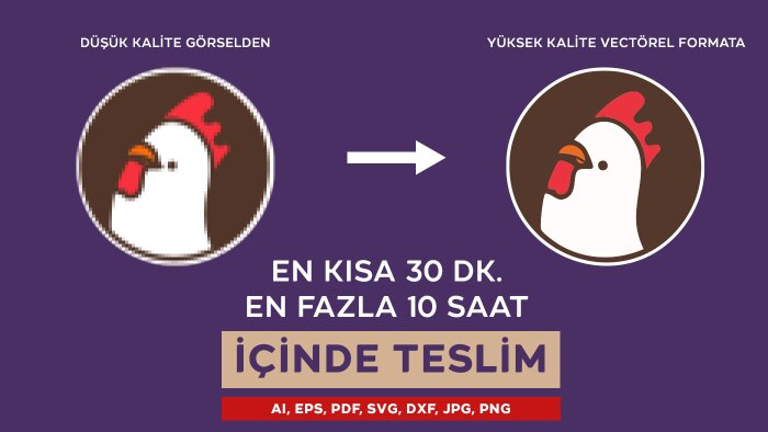 logonuzu vektörel formata çevirebilirim