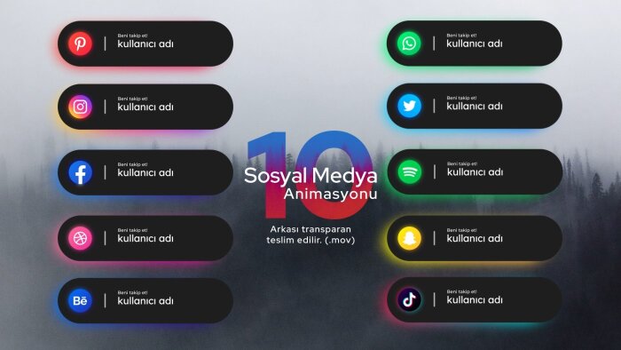 videolarınıza sosyal medya animasyonu yapabilirim