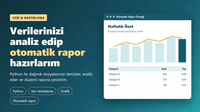 Python ile verilerinizi analiz edip rapor hazırlarım