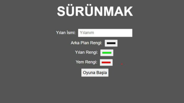 en hızlı şekilde yazılım projenizi yapabilirim