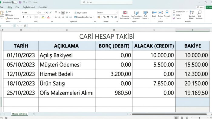 cari hesap ve gelir-gider tablosu hazırlıyorum
