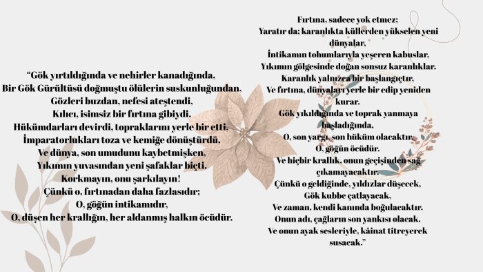 akademik, yaratıcı içerik yazarlığı ve çevirmenlik yaparım