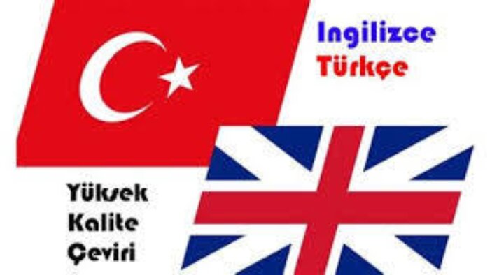sizin için yüksek kalitede İngilizce çeviri yapıyorum