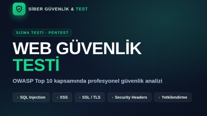 web uygulamana sızma testi yapıp açıkları raporlarım