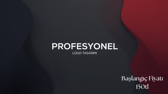 profesyonel logo tasarımı yapabilirim