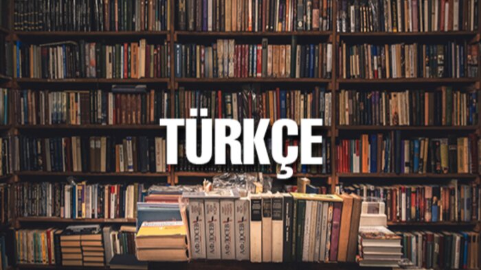 Türkçe yazılarda dilbigisi ve anlam kontrolü yaparım
