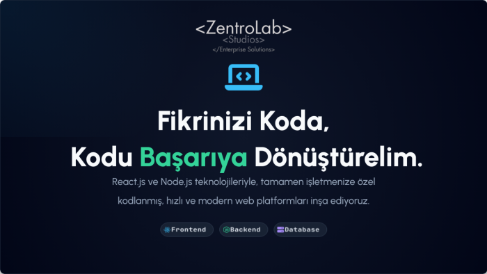 profesyonel web sitesi kodlarım