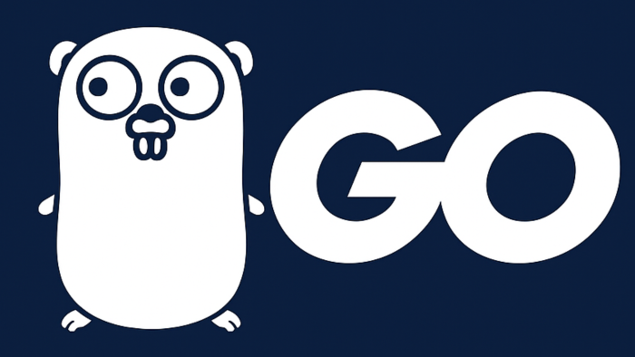 Go (golang) ile projeler geliştiririm