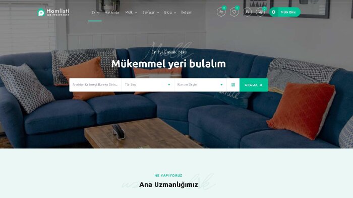 wordpress ile websitesi özelleştirme yaparım