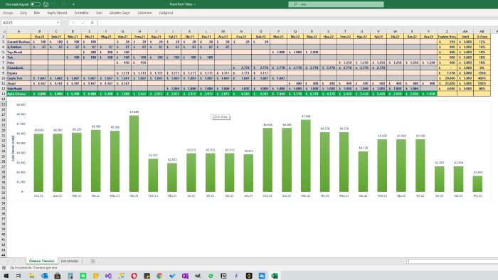 excel ile kredi kartı ödemelerinizi takip etmenizi sağlarım