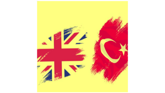 İngilizceden Türkçeye Türkçeden İngilizceye çeviri yaparım