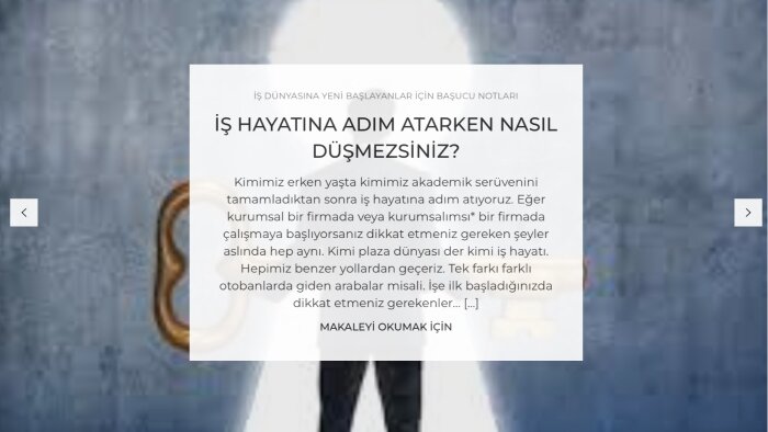  iş hayatına ait makaleler yazarım