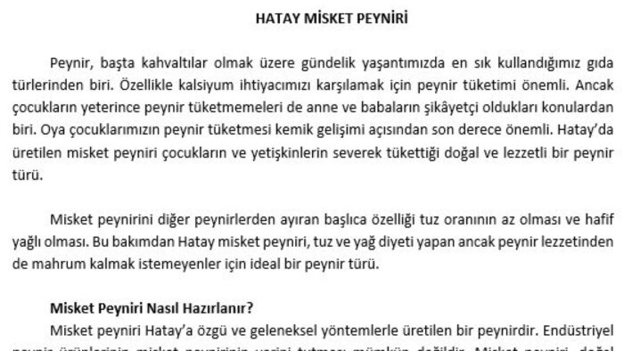 profesyonel web içeriği yazarım