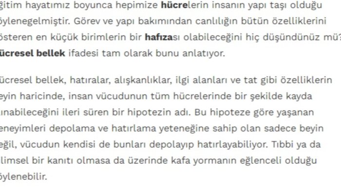 online platformlar için içerik üretebilirim