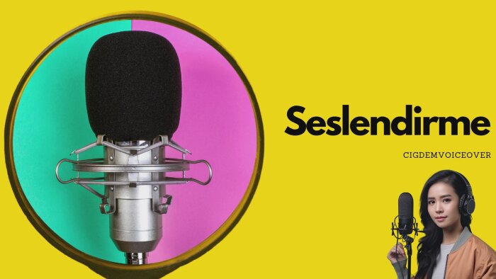 profesyonel seslendirme hizmeti veriyorum
