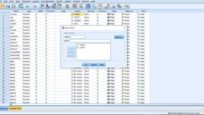 spss programı kullanarak veri analizi yaparım