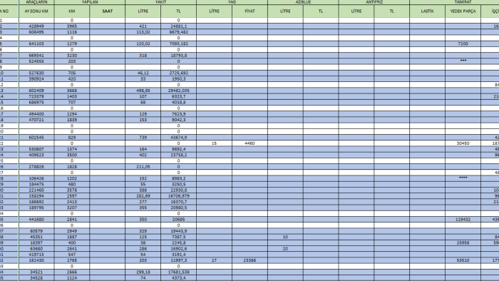 excel dosyalarınızı anlaşılır şekilde düzenlerim