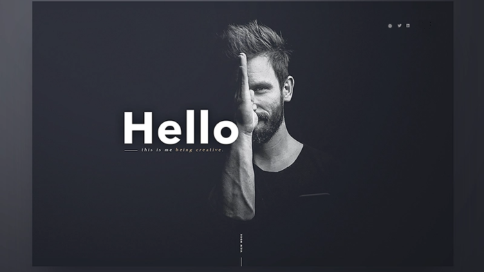 wordpress ile profesyonelce web sitenizi yaparım