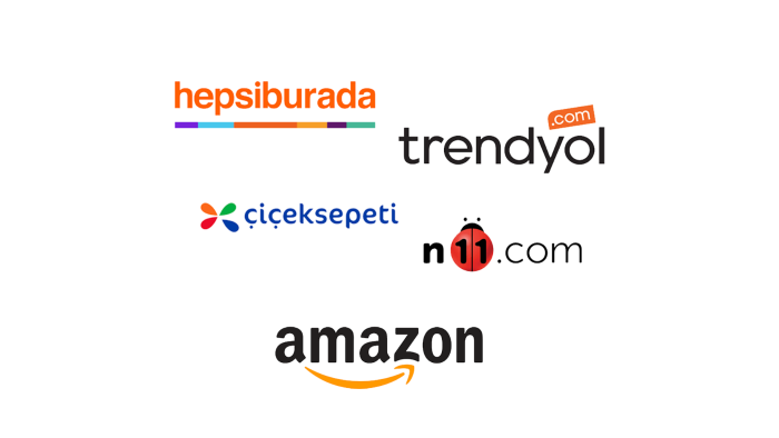 veri girişlerinizi yapabilirim
