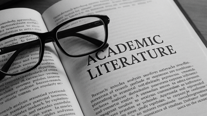akademik yazınız literatür taraması yapabilirim