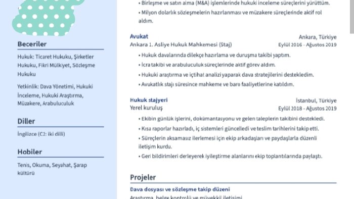 profesyonel CV ve özgeçmiş hazırlarım