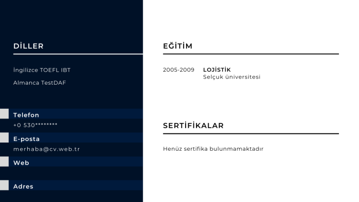 CV hazırlıyorum