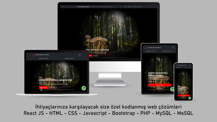 etkileyici ve size özel web çözümleri üretiyorum