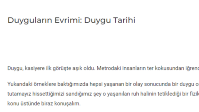 istediğiniz konularda  ve istenilen şekilde yazabilirim