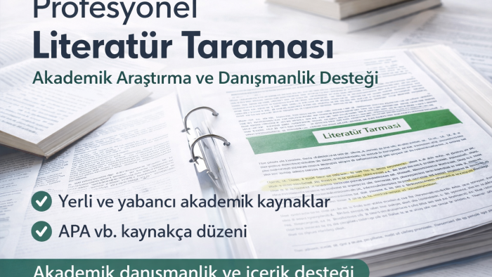 akademik araştırma ve literatür taraması yaparım