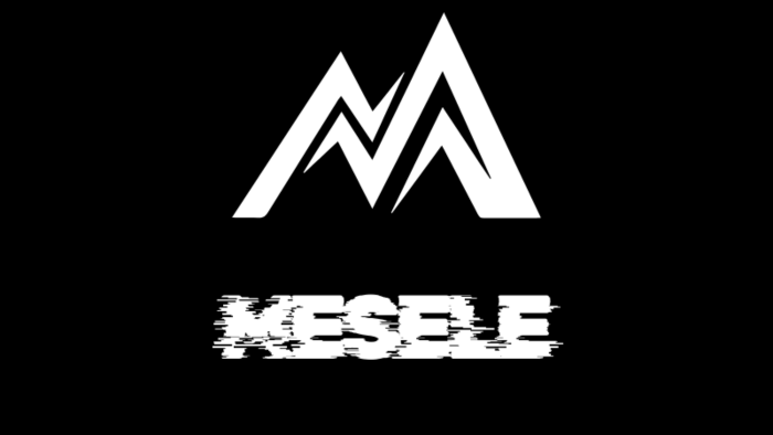logo tasarımı yaparım