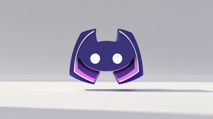 profesyonel bir şekilde  discord serverı kurarım