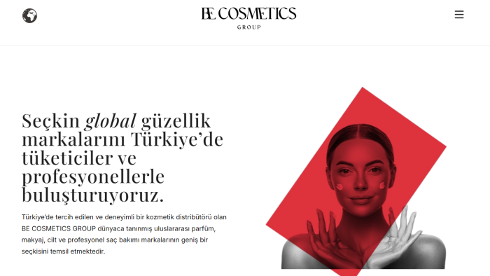  wordpress ile anahtar teslim kurumsal web sitesi kurarım