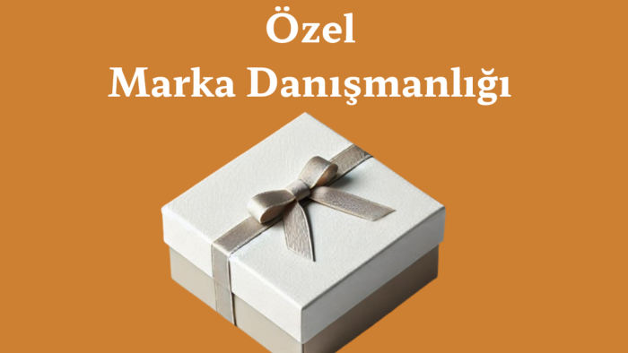 düşük bütçeli influencer pazarlama reklamlarını yönetiyorum