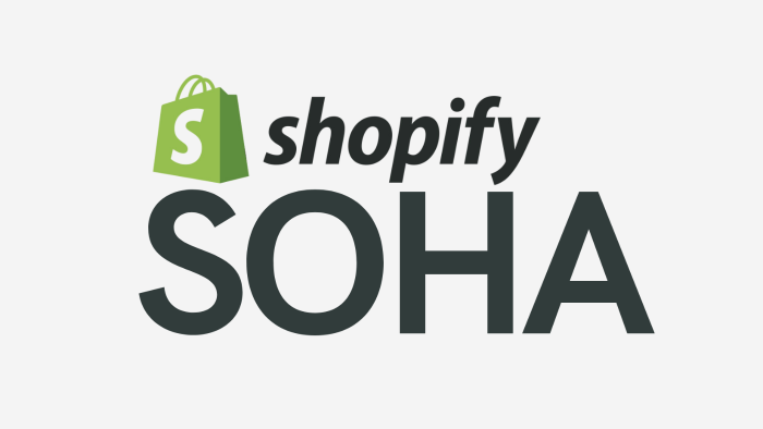 Shopify ile profosyonel mağaza kurarım