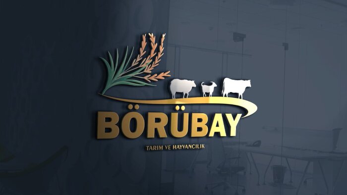 firmanız için logo tasarımınızı yapabilirim