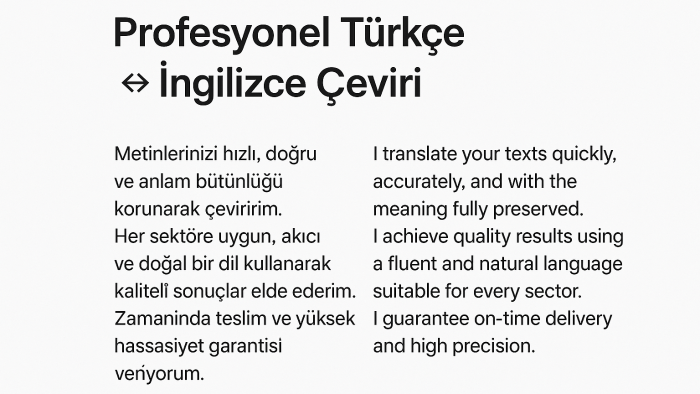 metinleri profesyonelce çeviriyorum