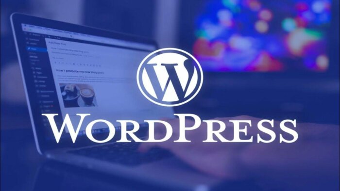 şık bir wordpress web sitesi yaparım