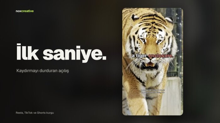 videolarınızı izlenen Reels ve TikTok kurgularına çeviririm